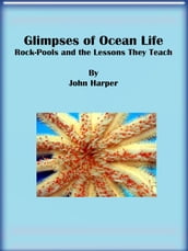 Glimpses of Ocean Life: Rock-Pools and the Lessons They Teach
