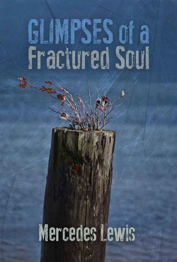 Glimpses of a Fractured Soul - Mercedes Lewis