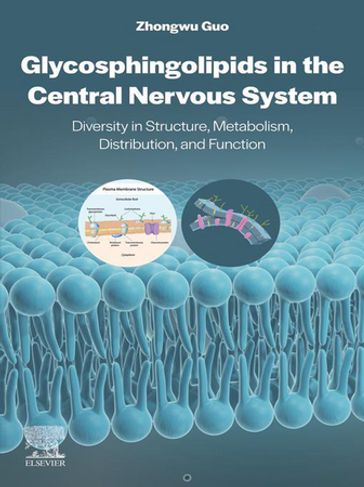 Glycosphingolipids in the Central Nervous System - Zhongwu Guo