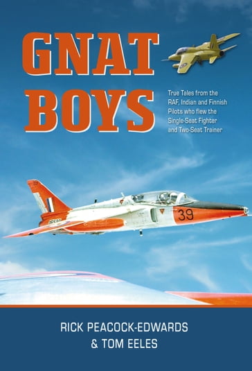 Gnat Boys - CBE  AFC Air Commodore Rick Peacock-Edwards - Tom Eeles