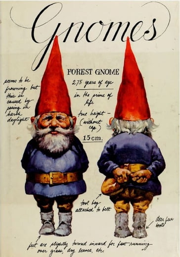 Gnomes - Wil Huygen