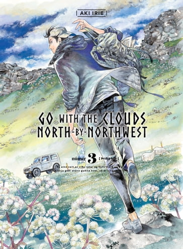Go with the clouds, North-by-Northwest 3 - Aki Irie