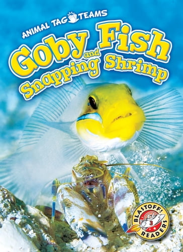 Goby Fish and Snapping Shrimp - Kari Schuetz