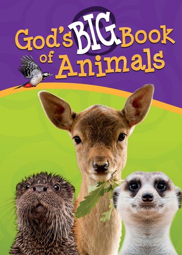 God's Big Book of Animals - Master Books
