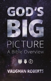 God s Big Picture