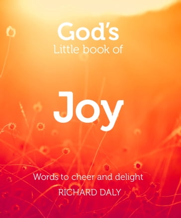 God's Little Book of Joy - Richard Daly