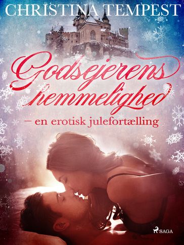 Godsejerens hemmelighed - en erotisk julefortælling - Christina Tempest