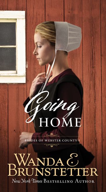 Going Home - Wanda E. Brunstetter