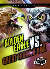 Golden Eagle vs. Great Horned Owl