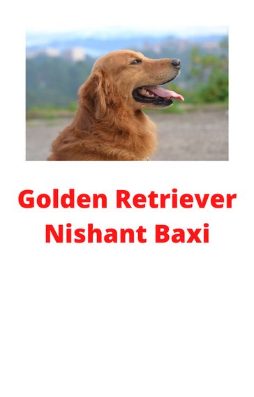 Golden Retriever - Nishant Baxi