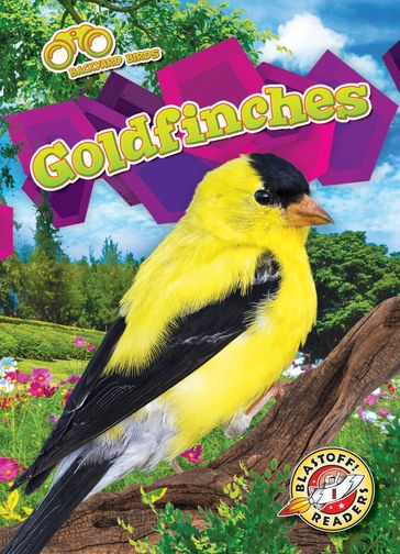Goldfinches - Elizabeth Neuenfeldt