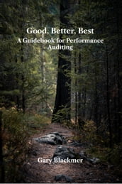 Good, Better, Best: A Guidebook for Performance Auditing