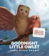 Goodnight Little Owlet