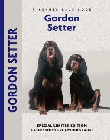 Gordon Setter - Nona Kilgore Bauer