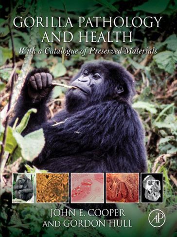 Gorilla Pathology and Health - Gordon Hull - John E Cooper