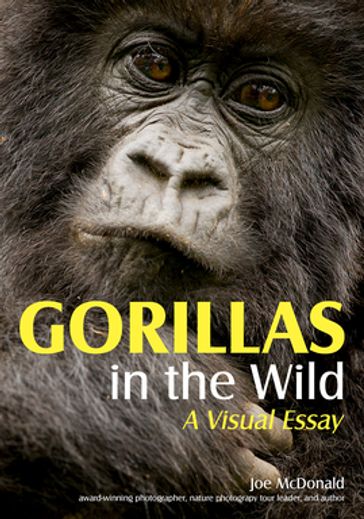 Gorillas in the Wild - JOE MCDONALD