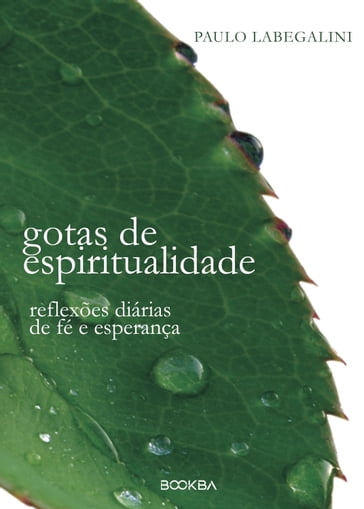 Gotas de Espiritualidade - Paulo Labegalini