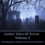 Gothic Tales of Terror Volume 2