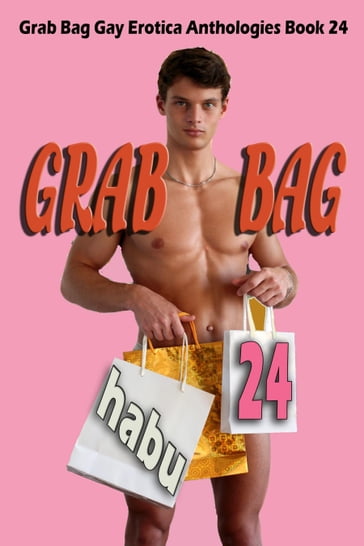 Grab Bag 24: A Gay Erotica Anthology - habu