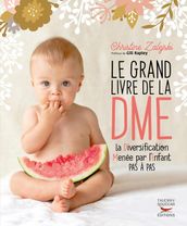 Le Grand livre de la DME - La Diversification Menée par l Enfant pas à pas