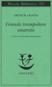 Grande trampoliere smarrito