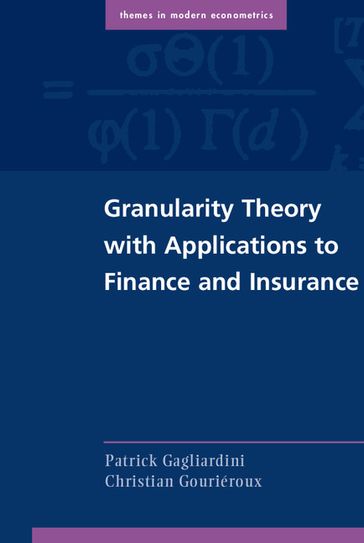 Granularity Theory with Applications to Finance and Insurance - Christian Gouriéroux - Patrick Gagliardini