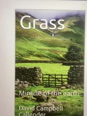 Grass. Miracle of the Earth