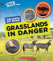 Grasslands in Danger (A True Book: The Earth at Risk)