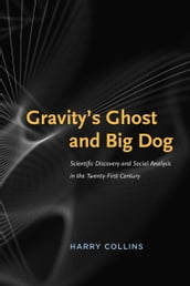 Gravity s Ghost and Big Dog