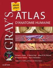 Gray s Atlas d anatomie humaine