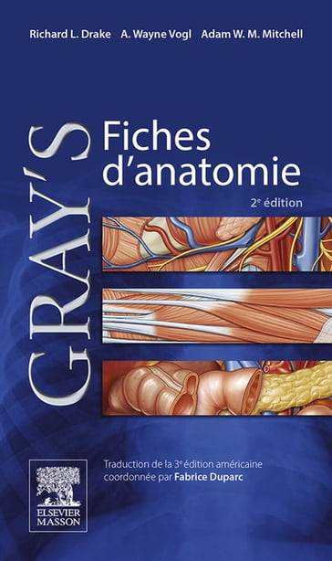 Gray's Fiches d'anatomie - Richard L. Drake - Fabrice Duparc - Adam W.M. Mitchell - PhD A. Wayne Vogl - John Scott & Co