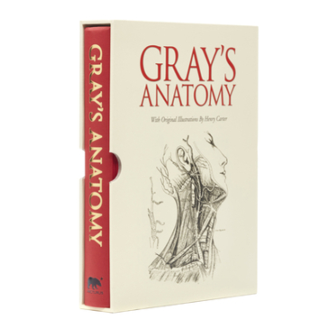 Grays Anatomy - Henry Gray