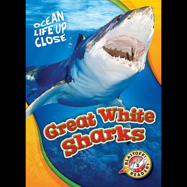 Great White Sharks - Rebecca Pettiford