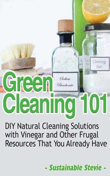 Green Cleaning 101 - Sustainable Stevie