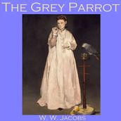 Grey Parrot, The
