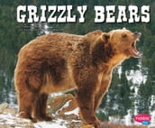 Grizzly Bears