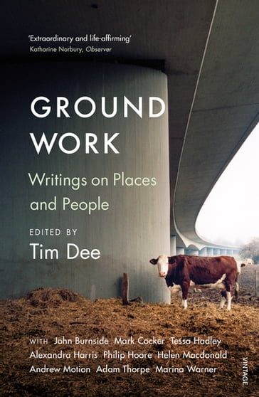 Ground Work - Richard Holmes - Tim Dee