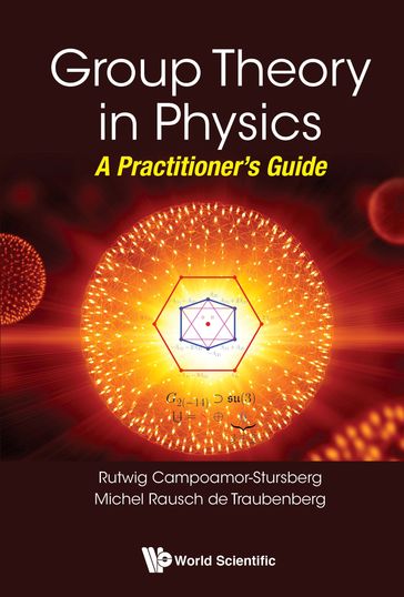 Group Theory In Physics: A Practitioner's Guide - Michel Rausch de Traubenberg - R Campoamor Strursberg
