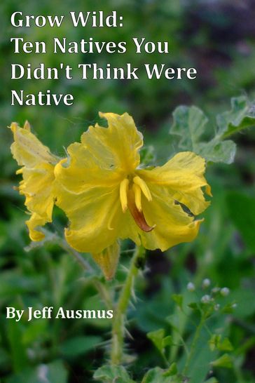 Grow Wild: Ten Natives You Didn't Think Were Native - Jeff Ausmus
