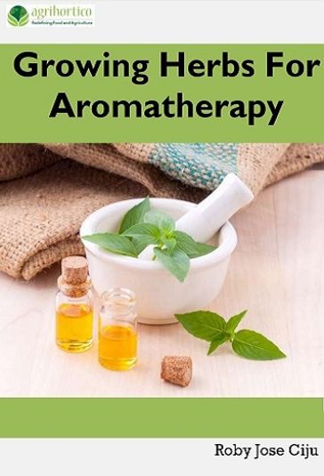 Growing Herbs For Aromatherapy - ROBY JOSE CIJU