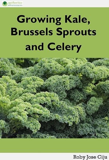 Growing Kale Leaves, Brussels Sprouts and Celery - ROBY JOSE CIJU