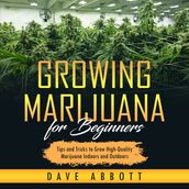 Growing Marijuana For Beginners