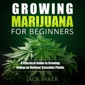 Growing Marijuana for Beginners