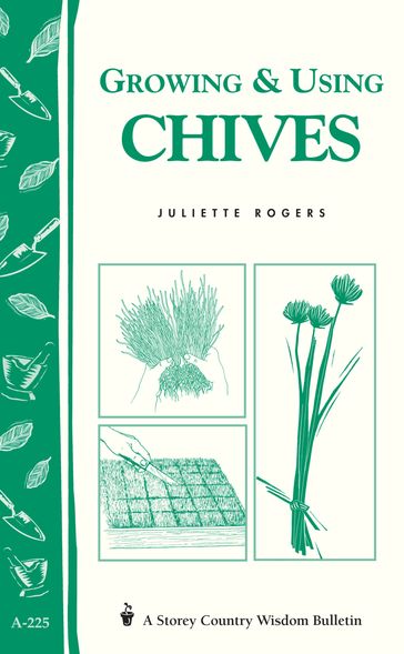 Growing & Using Chives - Juliette Rogers
