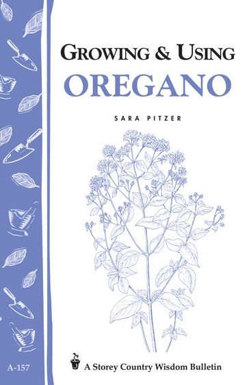 Growing & Using Oregano - Sara Pitzer
