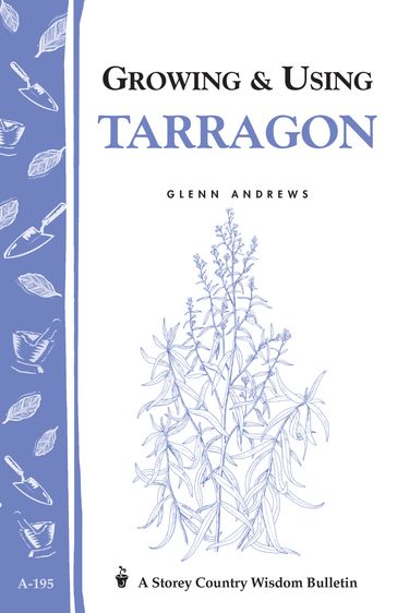 Growing & Using Tarragon - Glenn Andrews