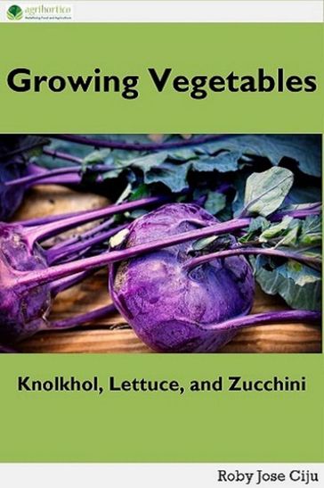 Growing Vegetables: Knolkhol, Lettuce and Zucchini - ROBY JOSE CIJU