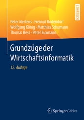 Grundzüge der Wirtschaftsinformatik