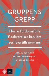 Gruppens grepp: hur vi fördomsfulla flockvarelser kan lära oss leva tillsammans?