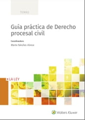 Guía práctica de Derecho procesal civil